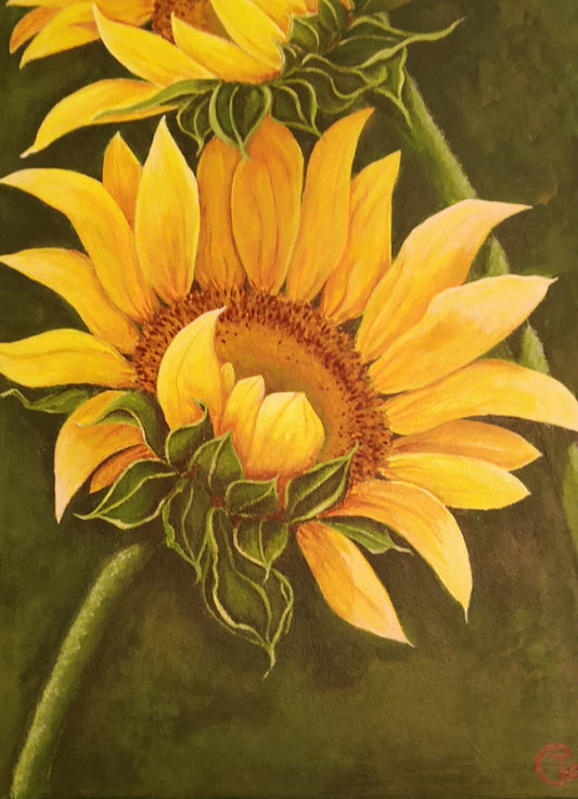 "Girasoli"