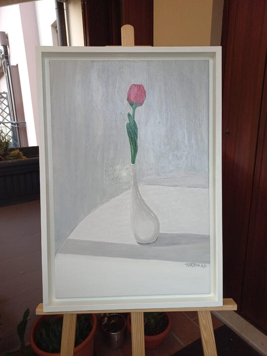 Tulipano