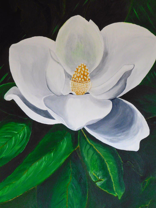 Magnolia